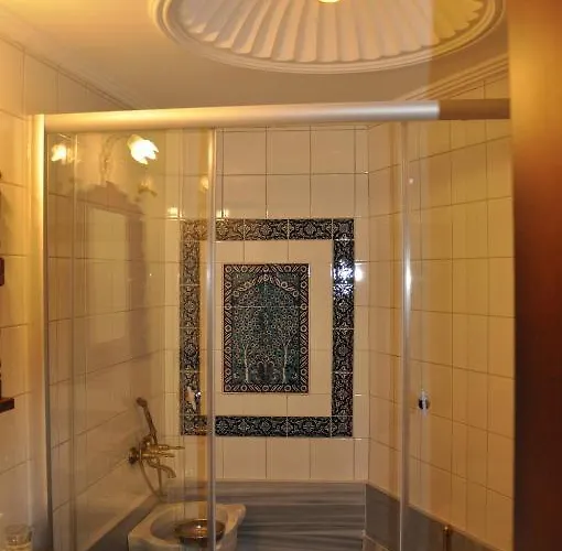 Hotel Aruna Boutique 4*