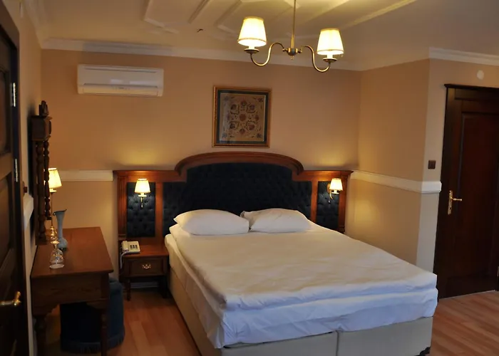 Hotel Aruna Boutique 4*