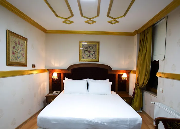 Hotel Aruna Boutique 4*